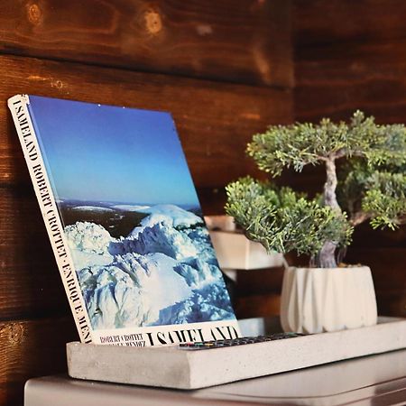 Reindeer River Lights Lodge キルナ エクステリア 写真